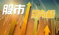 富临精工：2024年盈利3